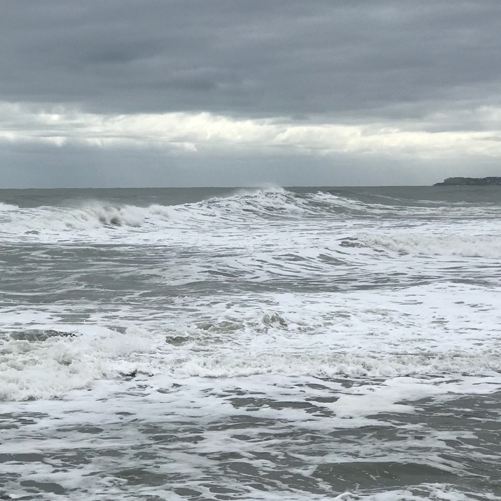 Meet your Posher, Hayley